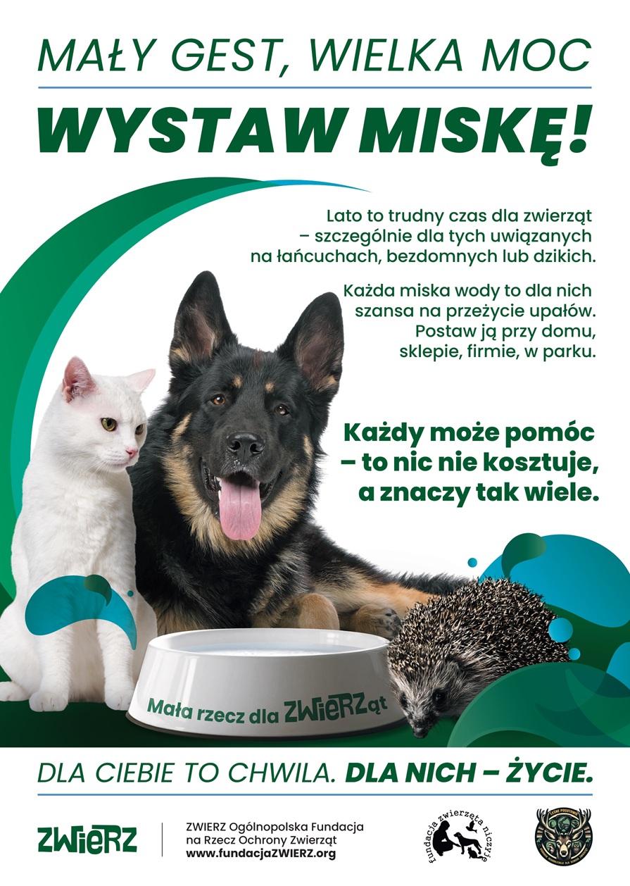 wystaw miske plakat A3 2025 1 DRUK page 0001