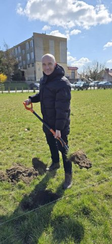 Sadzenie drzew na rekreacyjnych błoniach osiedlowych